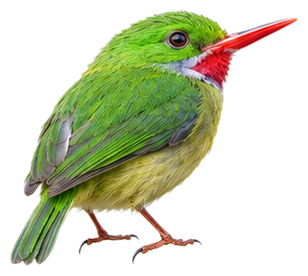 Jamaican Tody · Original color inspiration